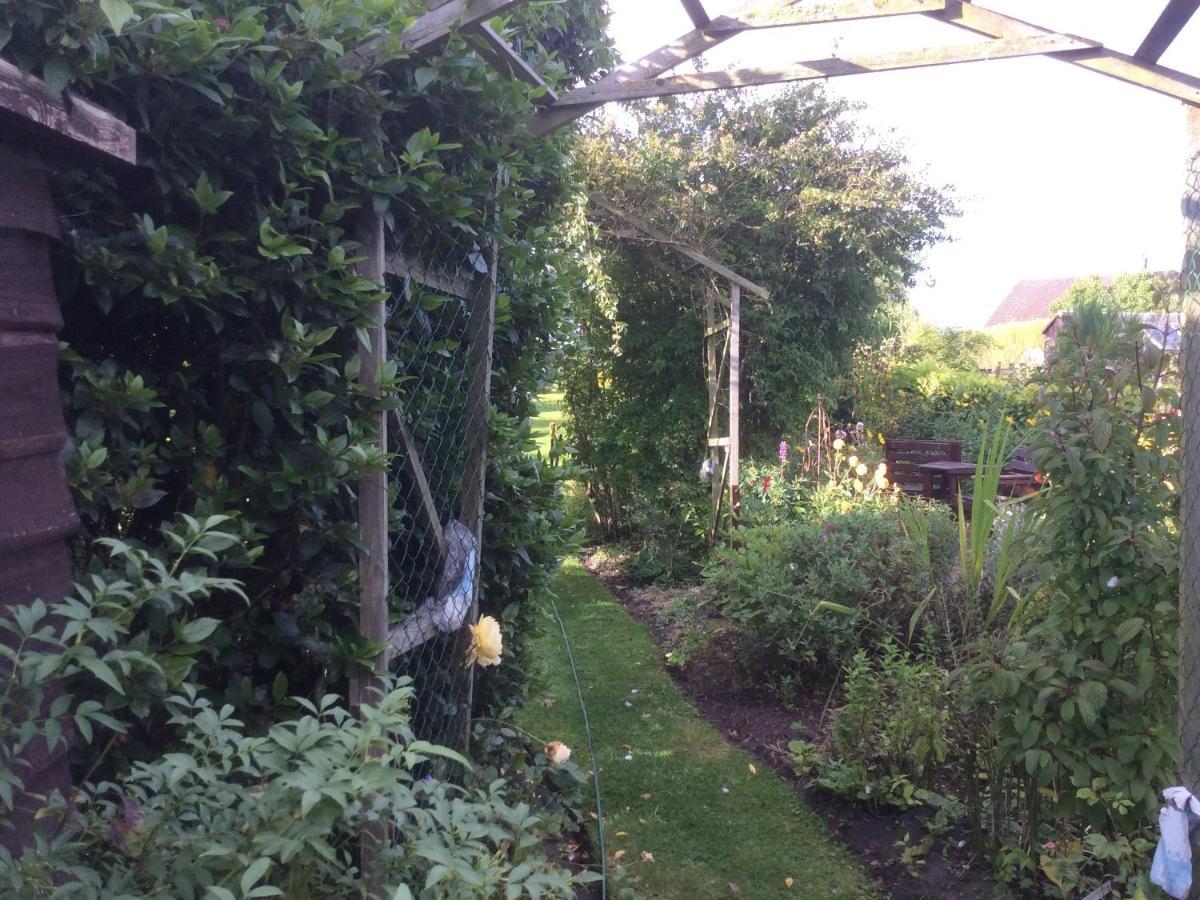 Laurel 4* Horncastle (Lincolnshire)